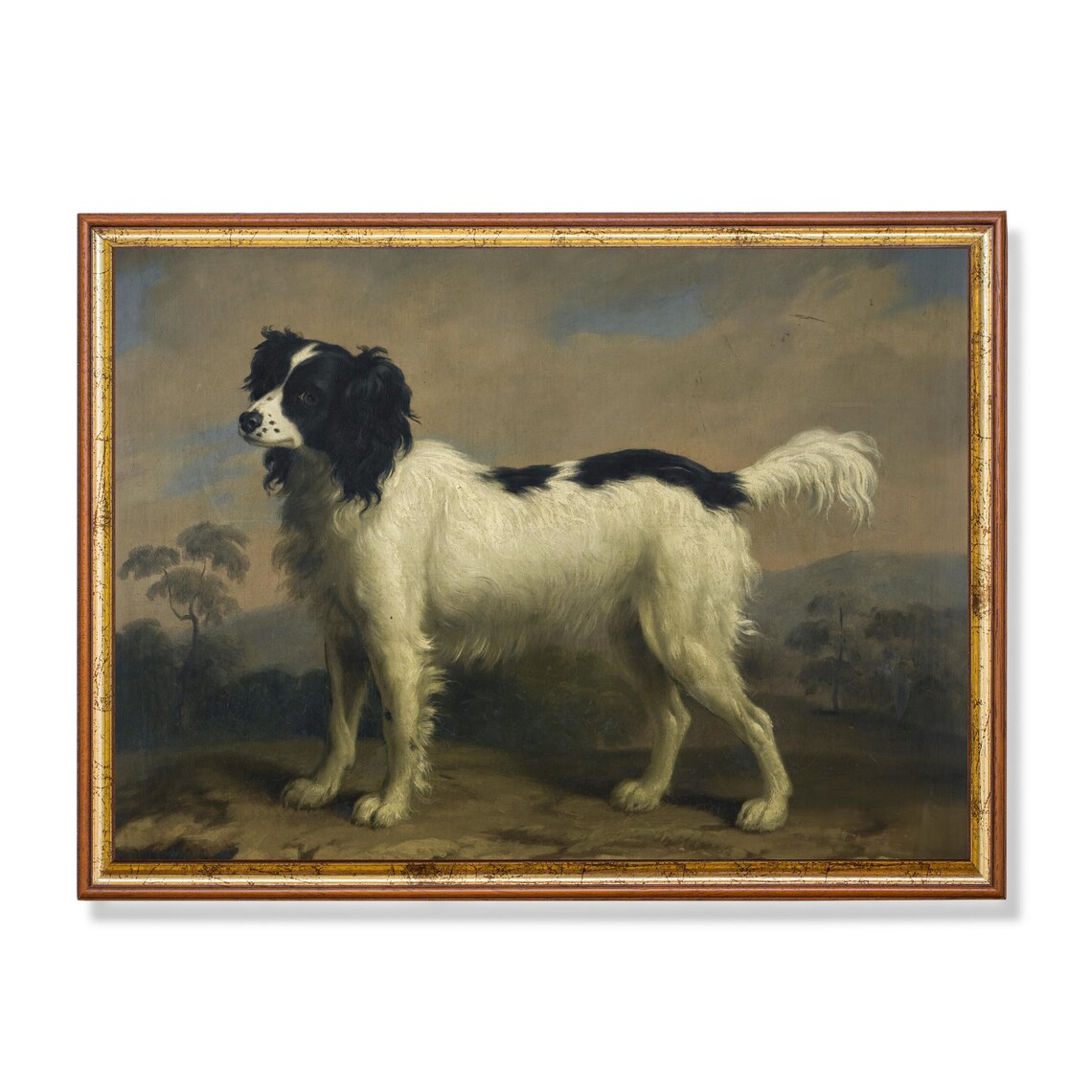 Vintage Spaniel Animal Print, Rustic Dog Art Print