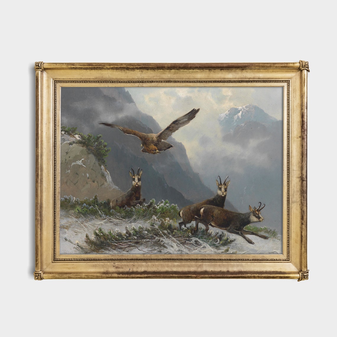 Chamois in Snowy High Mountains with Soaring Eagle Wildlife Poster - Image 2