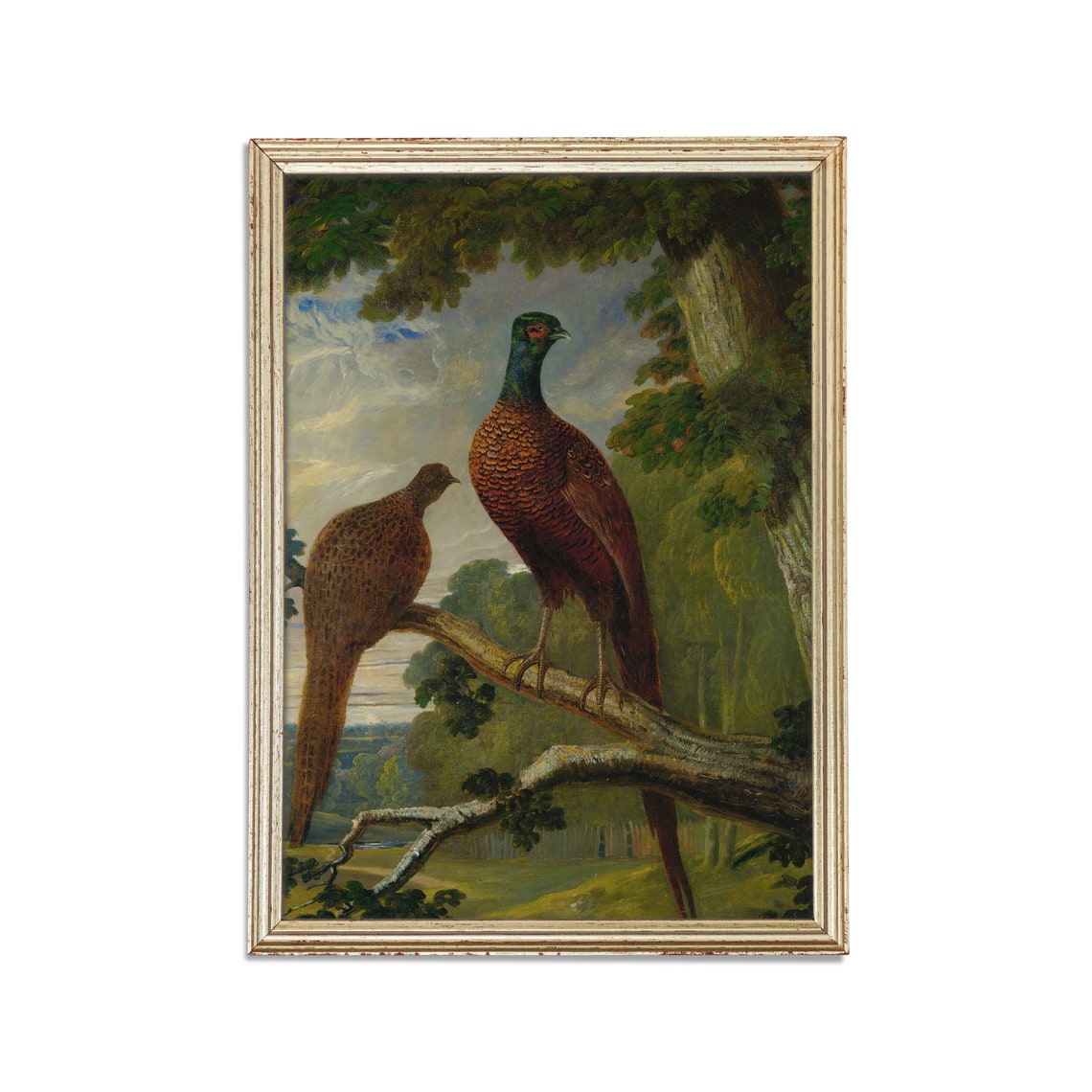 Pair of Pheasants Perched on a Tree Branch Vintage Game Bird Poster - Image 2