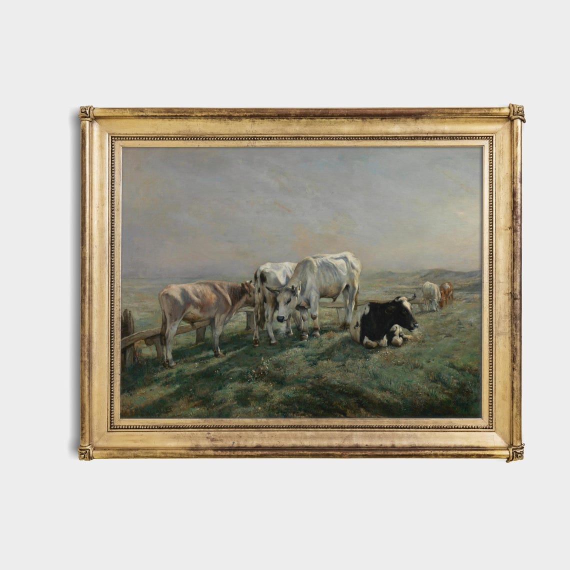 Cattle Herd Grazing in a Peaceful Meadow Antique Farm Poster - Image 3