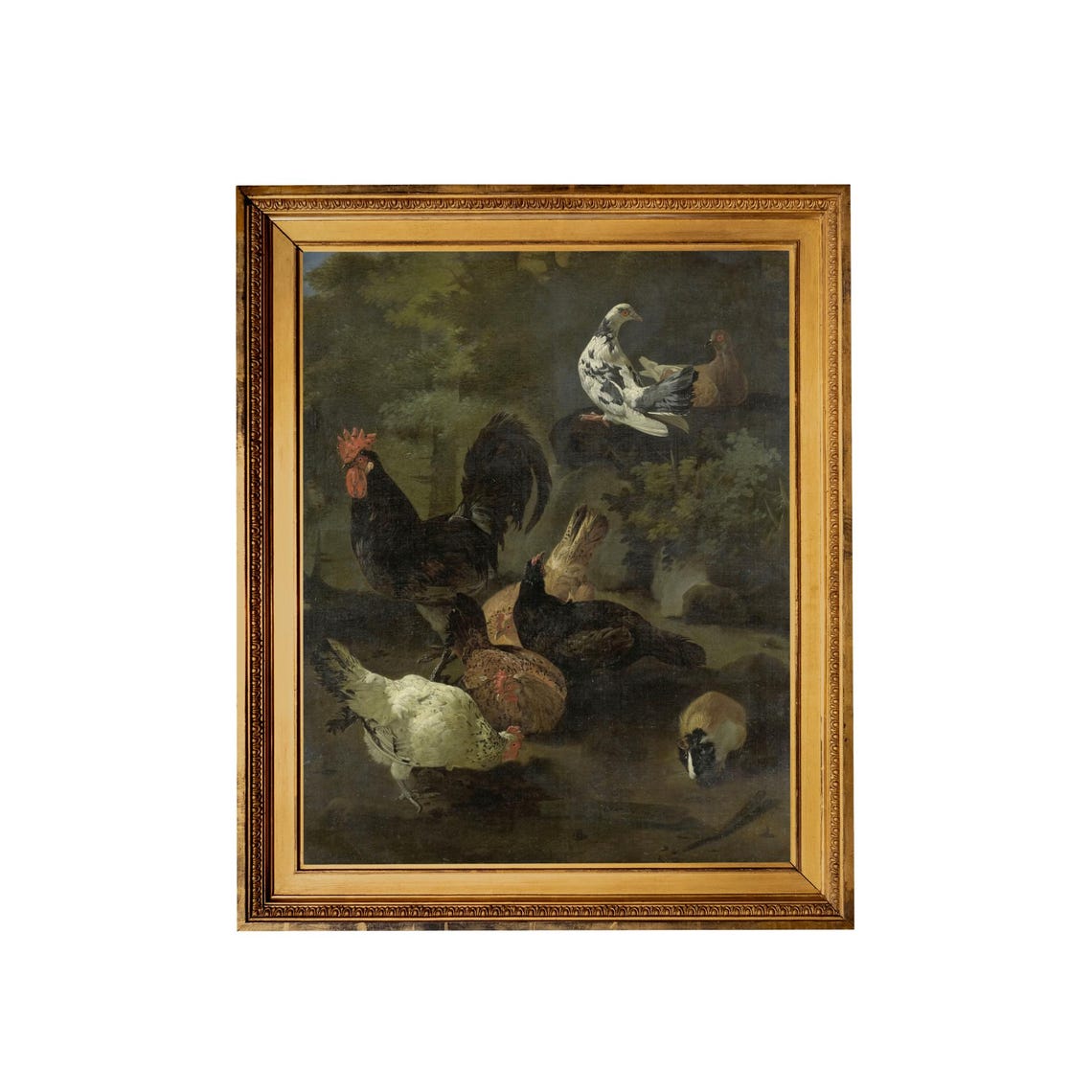 Black Rooster Hens Doves and a Guinea Pig in a Farmyard Poster - Image 5
