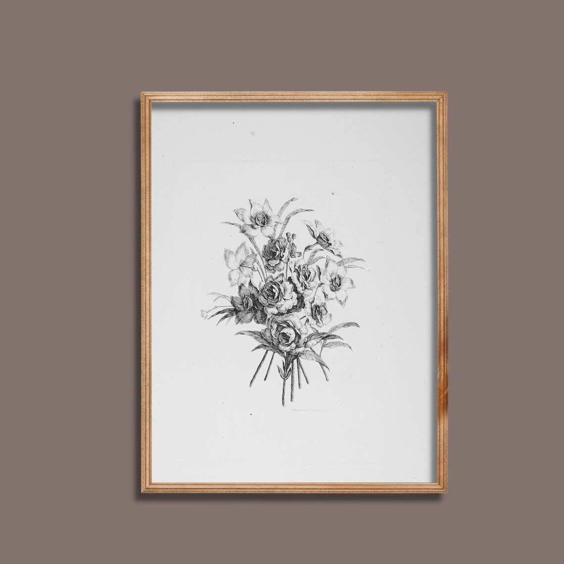 Daffodil Bouquet Pencil Sketch Monochrome Vintage Botanical Poster - Image 3