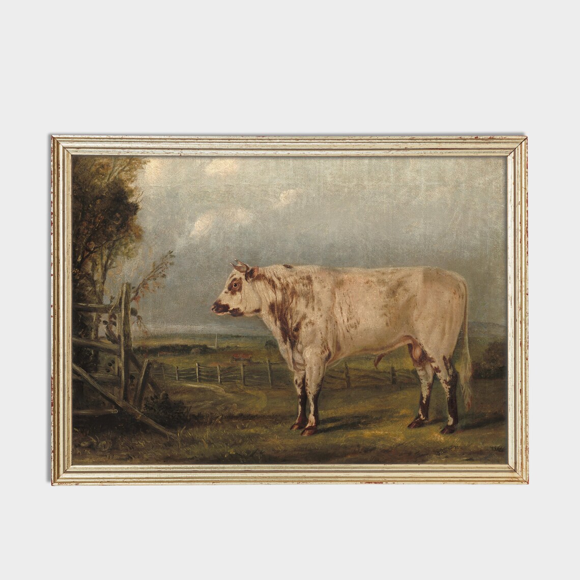 Vintage White Cow in Pasture by Wooden Fence Farm Art Poster - Image 2