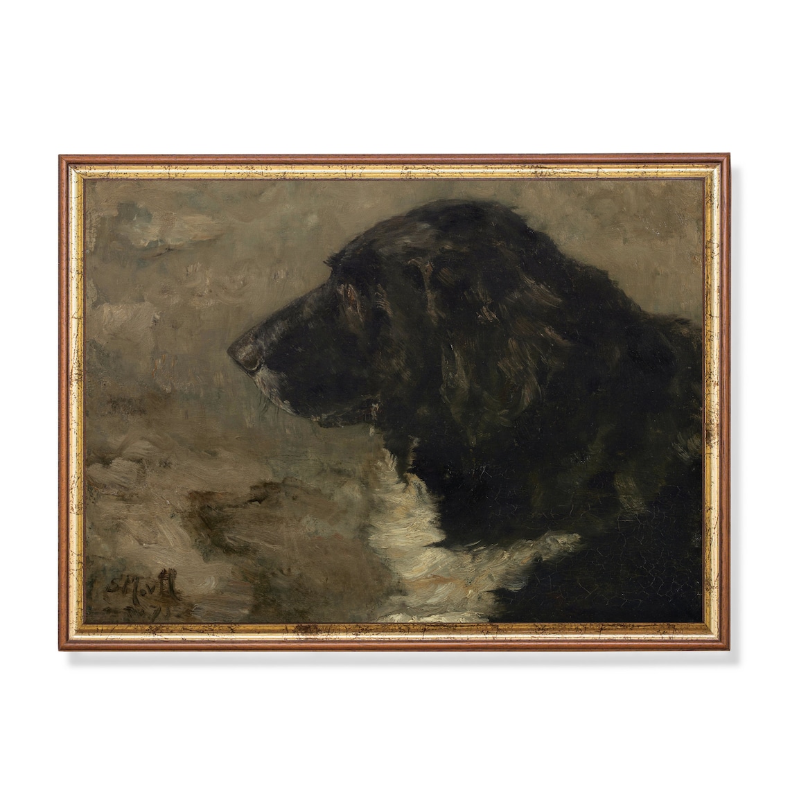 Dark Profile Study of a Black Dog Moody Canine Portrait Poster