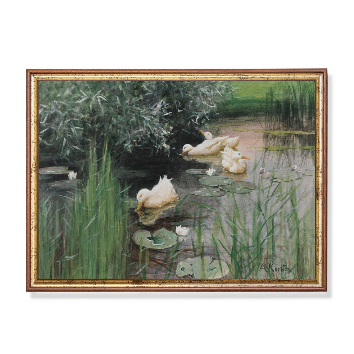 White Ducks in a Lily Pond Vintage Water Bird Painting Poster