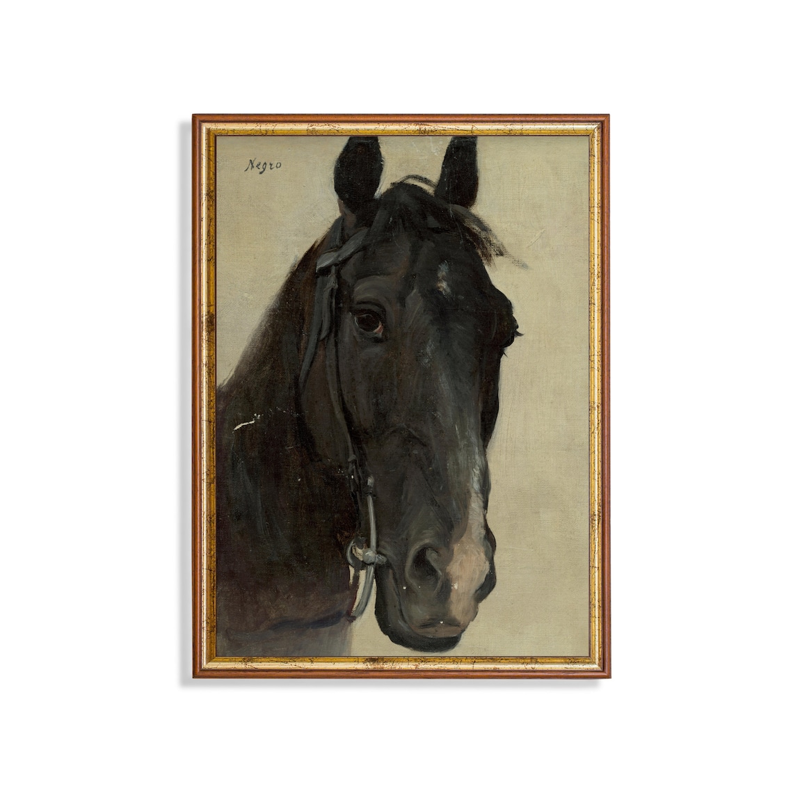 Negro Black Horse Head Portrait Antique Equestrian Oil Painting Poster
