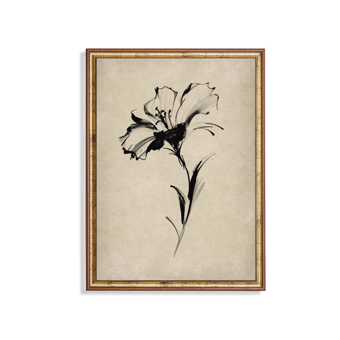 Bold Black Ink Flower Study Minimalist Botanical Line Art Poster