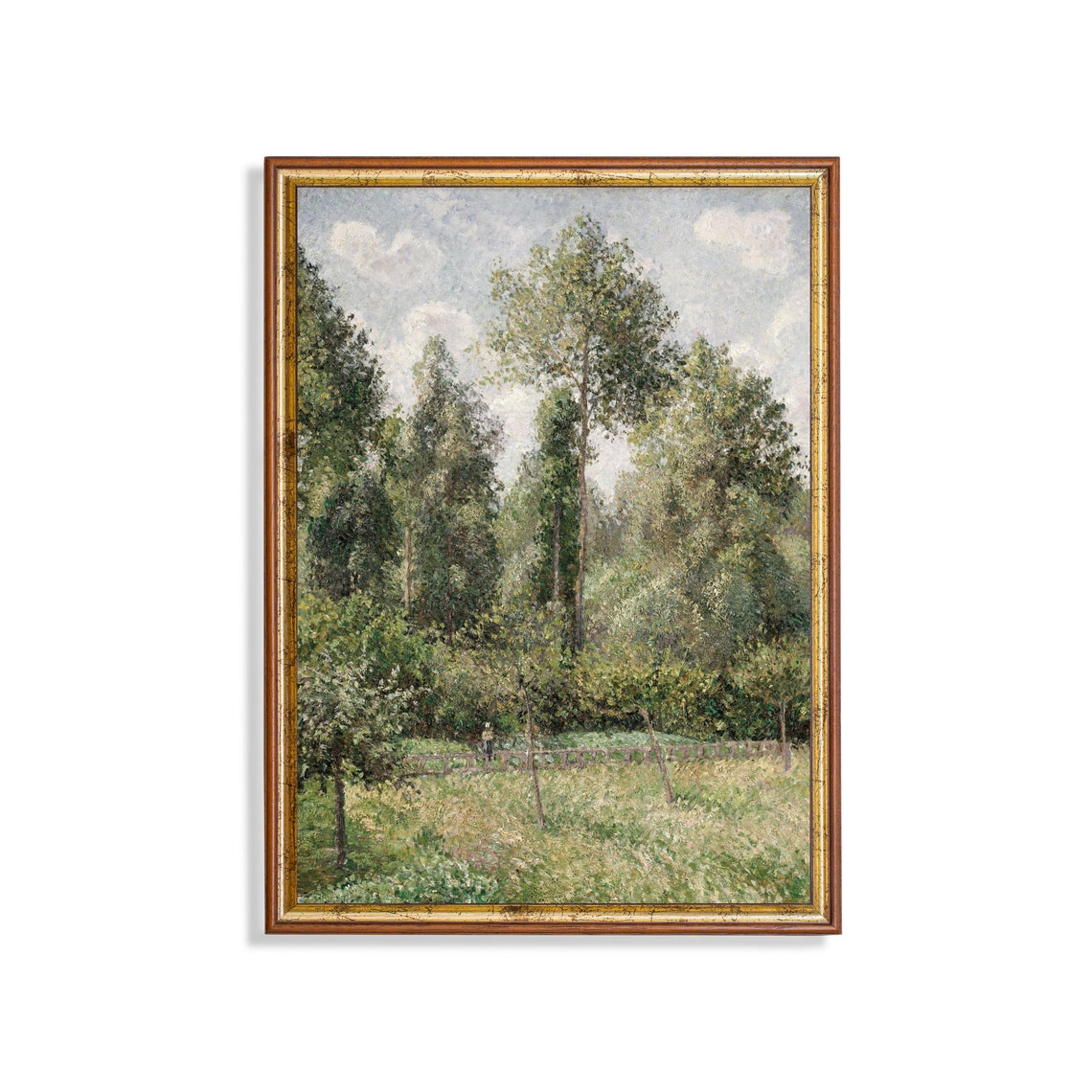 Sunlit Grove of Tall Trees Vintage Forest Oil Painting Poster