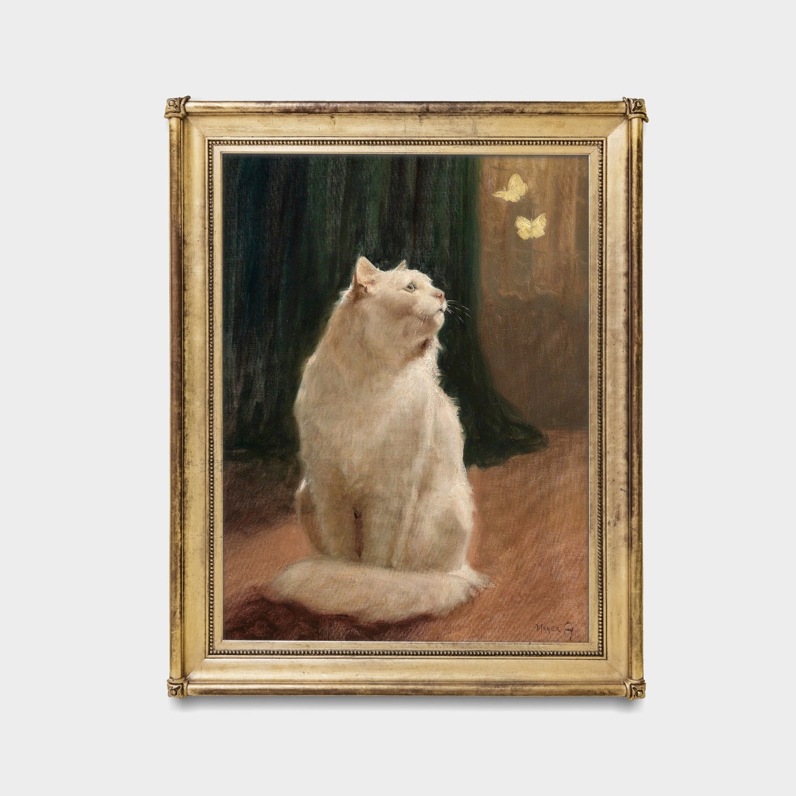Fluffy White Cat Watching Two Butterflies by the Window Poster - Image 2