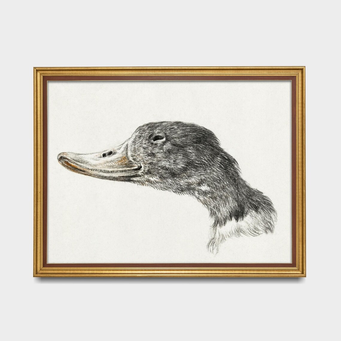Vintage Duck Print, Rustic Farmhouse Wall Art Print - Image 5
