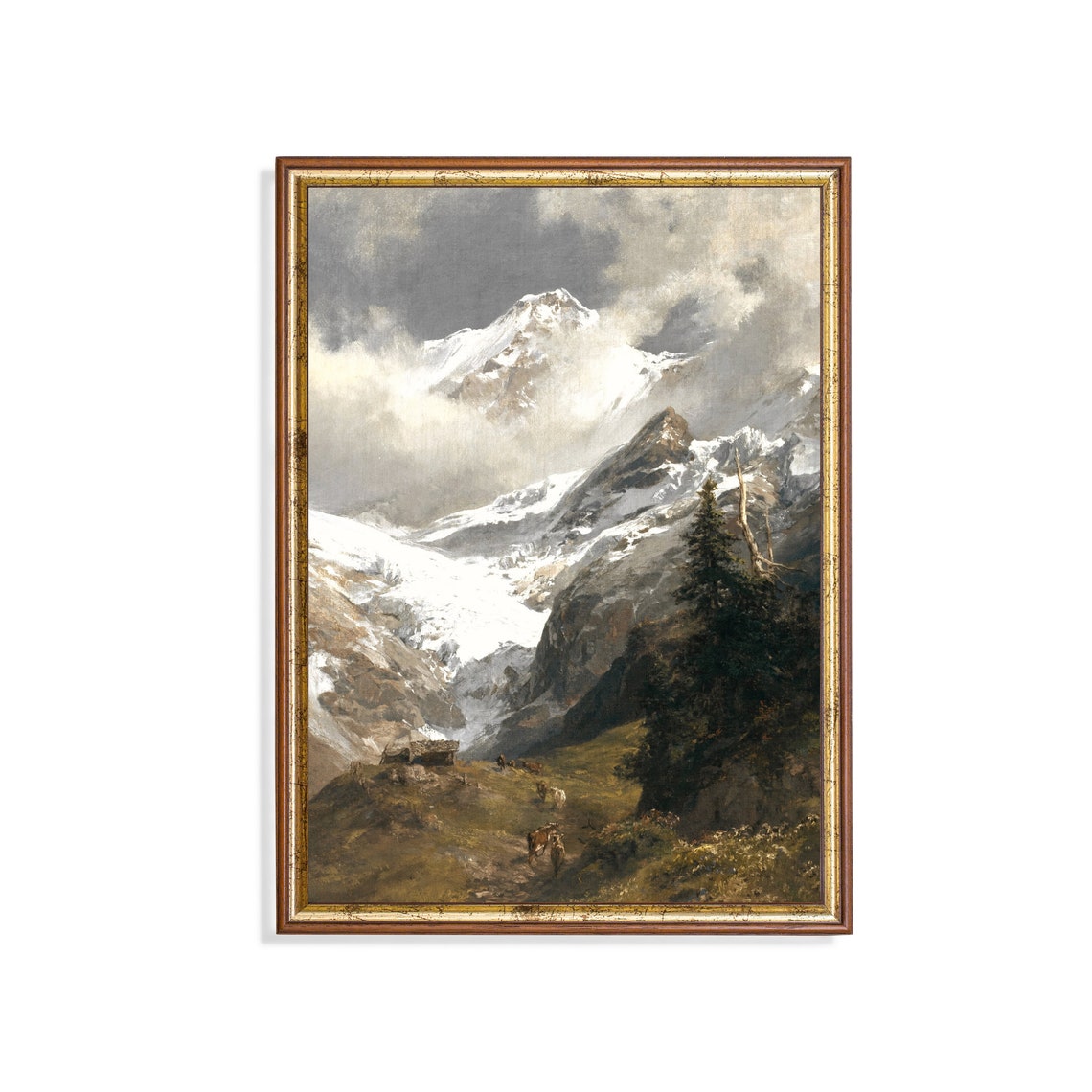 Snowy Alpine Peak Above Cattle Grazing on a Mountain Pasture Poster