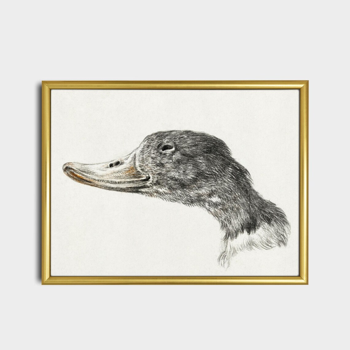 Vintage Duck Print, Rustic Farmhouse Wall Art Print - Image 2