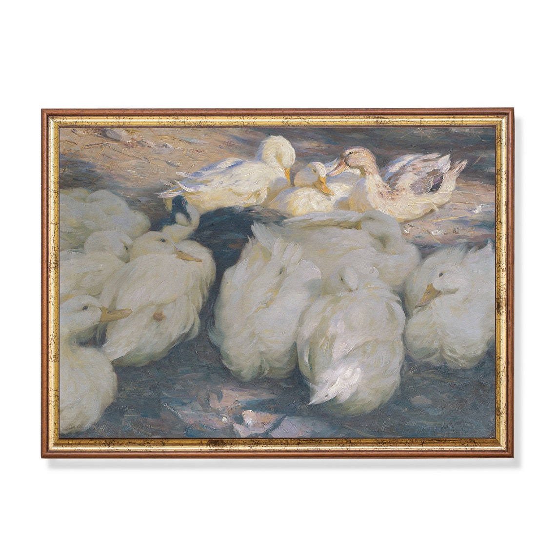 Huddled White Ducks Impressionist Vintage Bird Group Painting Poster