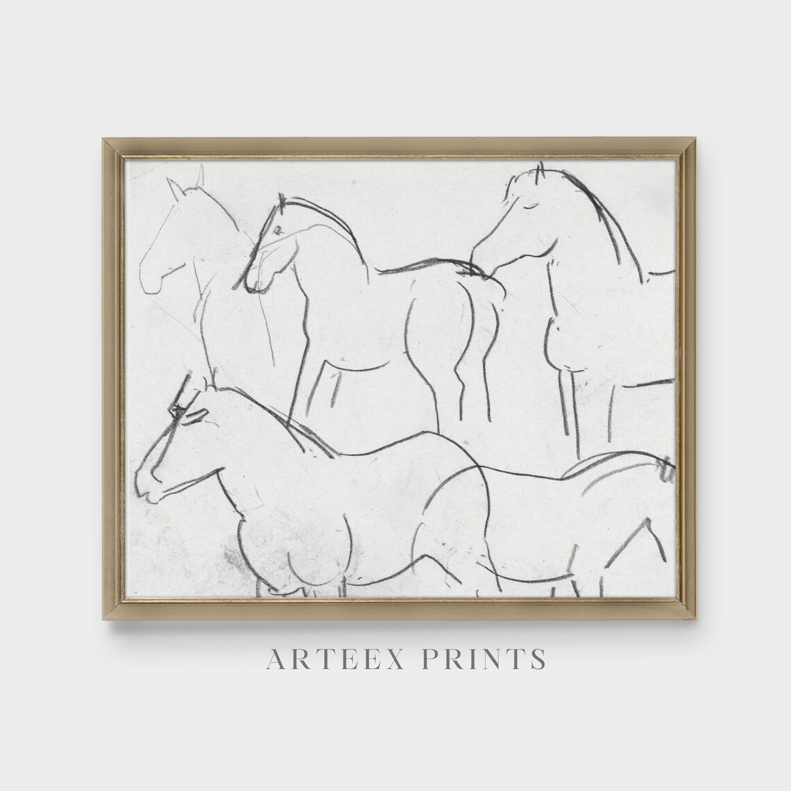 Vintage Sketch Drawing Five Horses Study, Line Art - Image 4