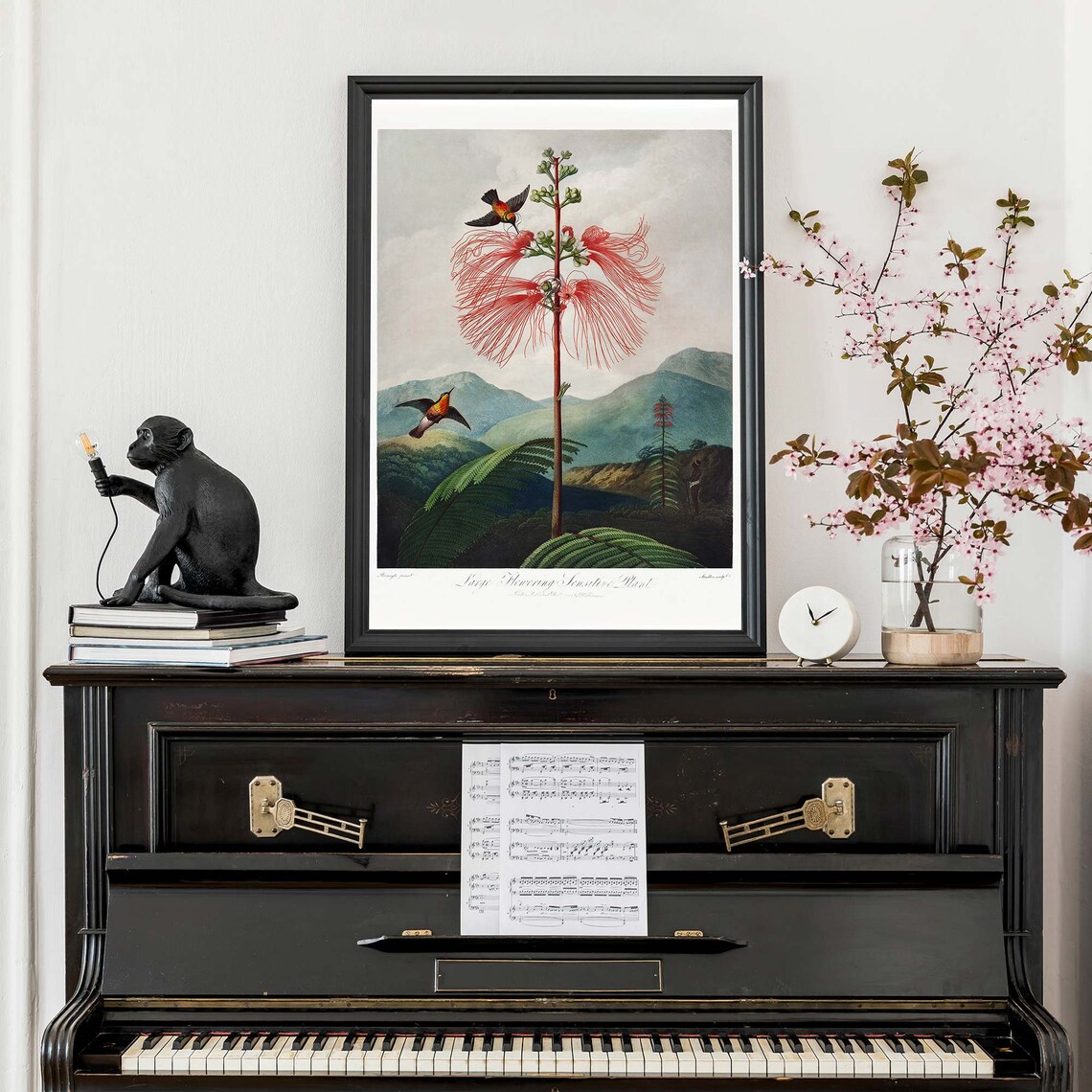 Thornton Large Flowering Sensitive Plant Hummingbird Art Poster - Image 3