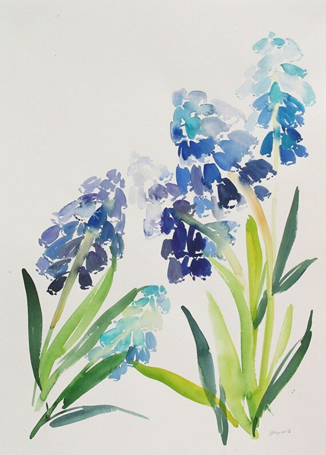 Blue Muscari Flowers Watercolor Botanical Painting Art Poster