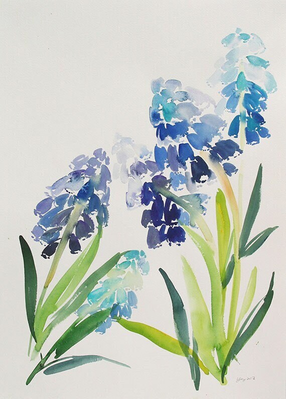 Blue Muscari Flowers Watercolor Botanical Painting Art Poster