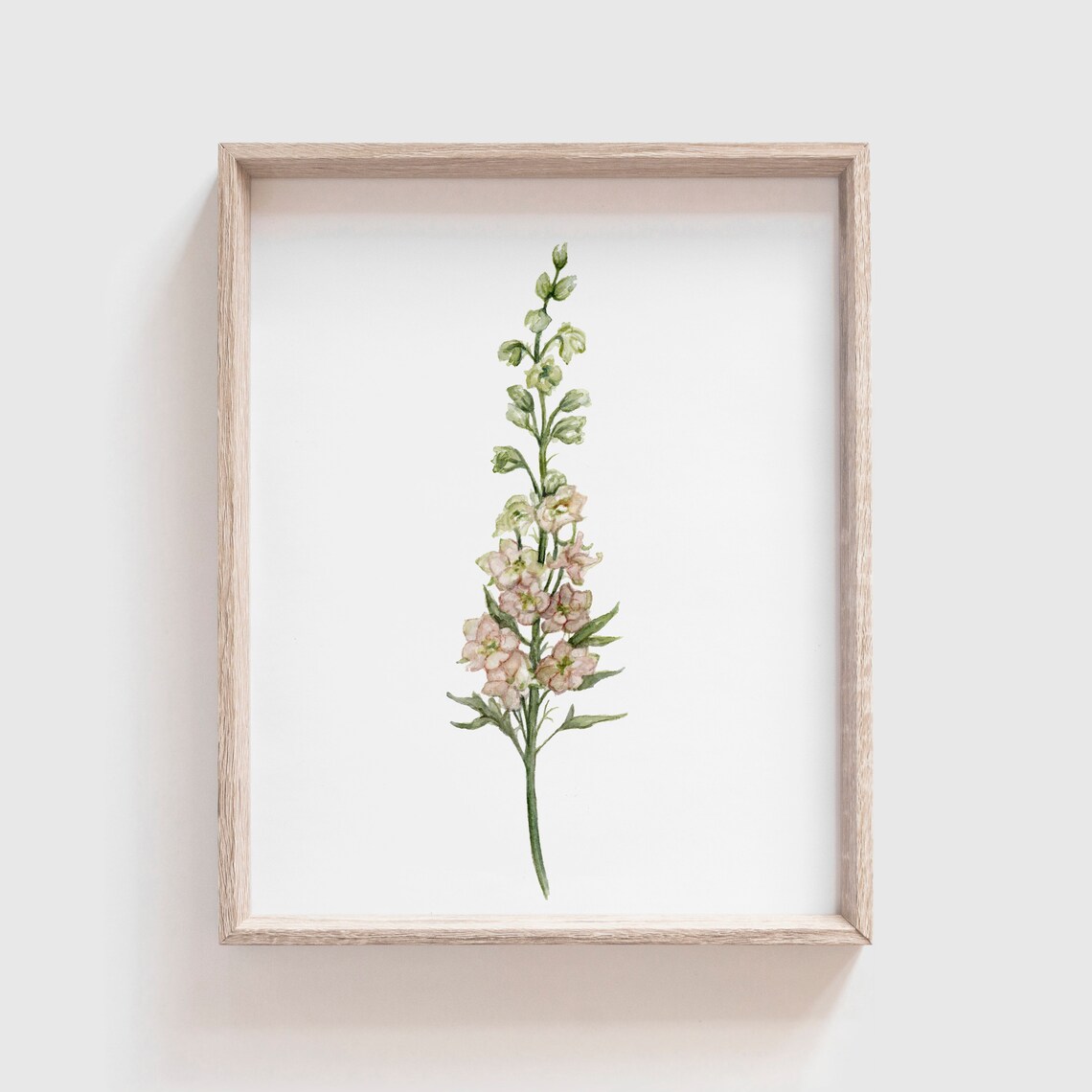 Larkspur Watercolor Art Print, Home Decor