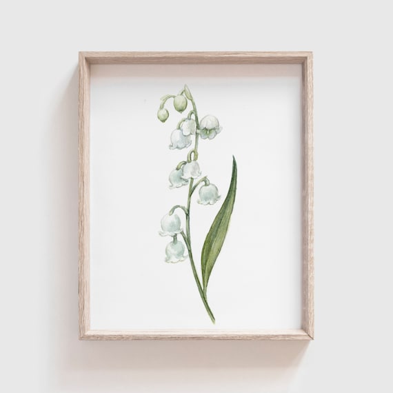 Lily Of The Valley Watercolor Art Print, Florals