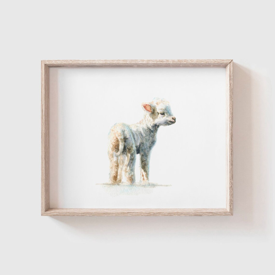 Lamb Watercolor Art Print, Baby Animal Painting