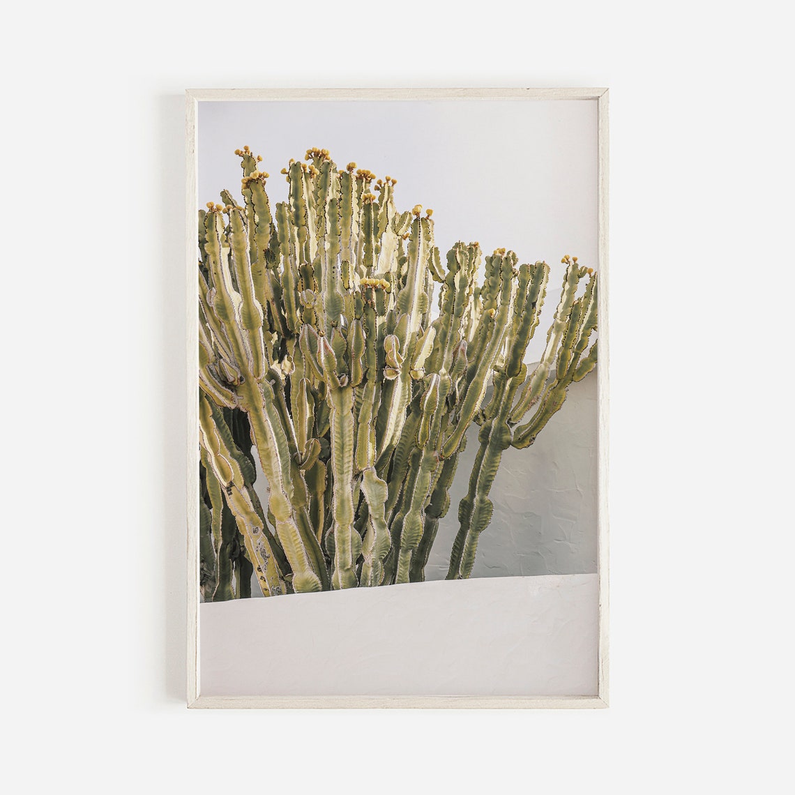 Tall Green Cactus Against White Wall Minimalist Desert Poster