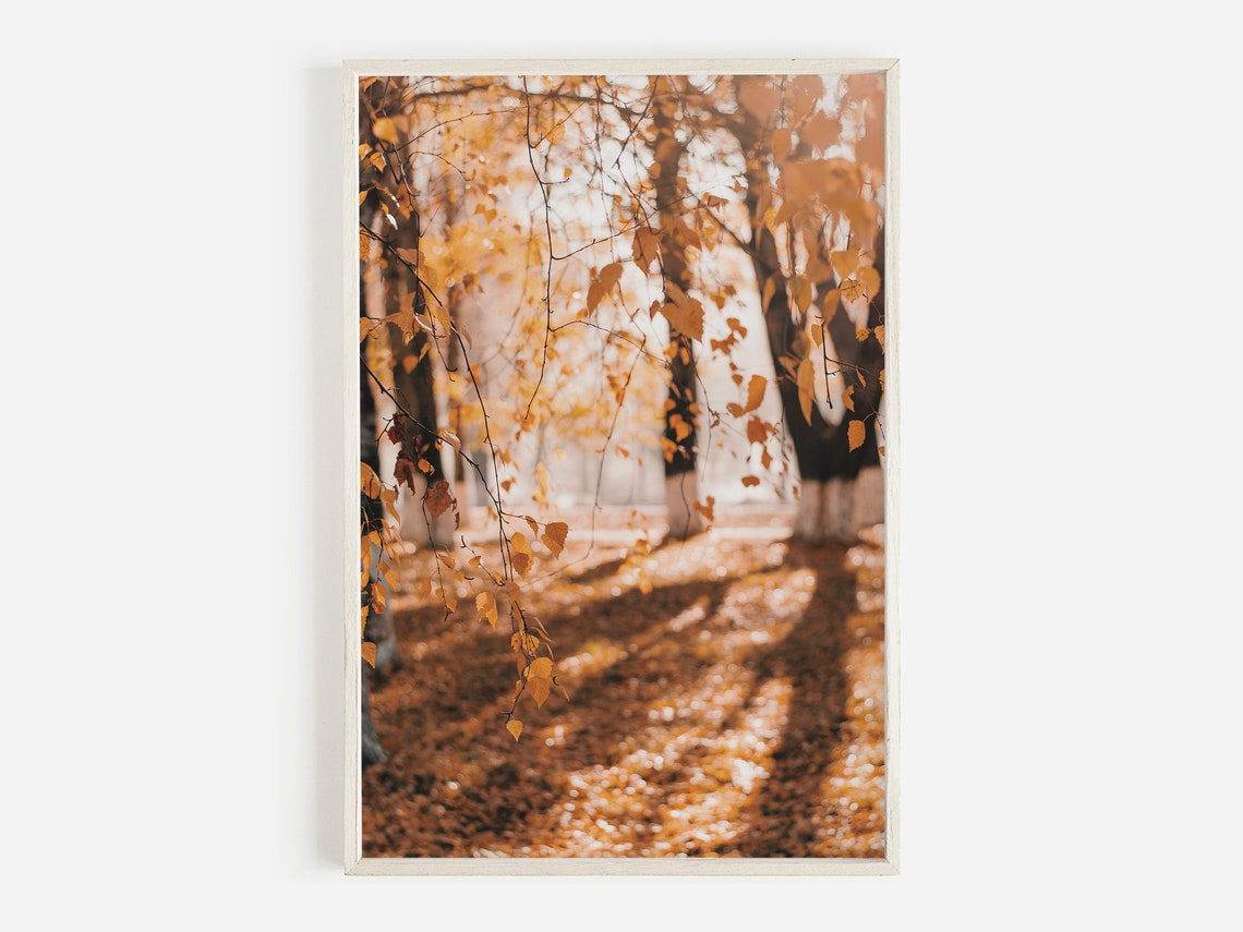 Golden Autumn Birch Leaves Fallen Foliage Forest Floor Poster