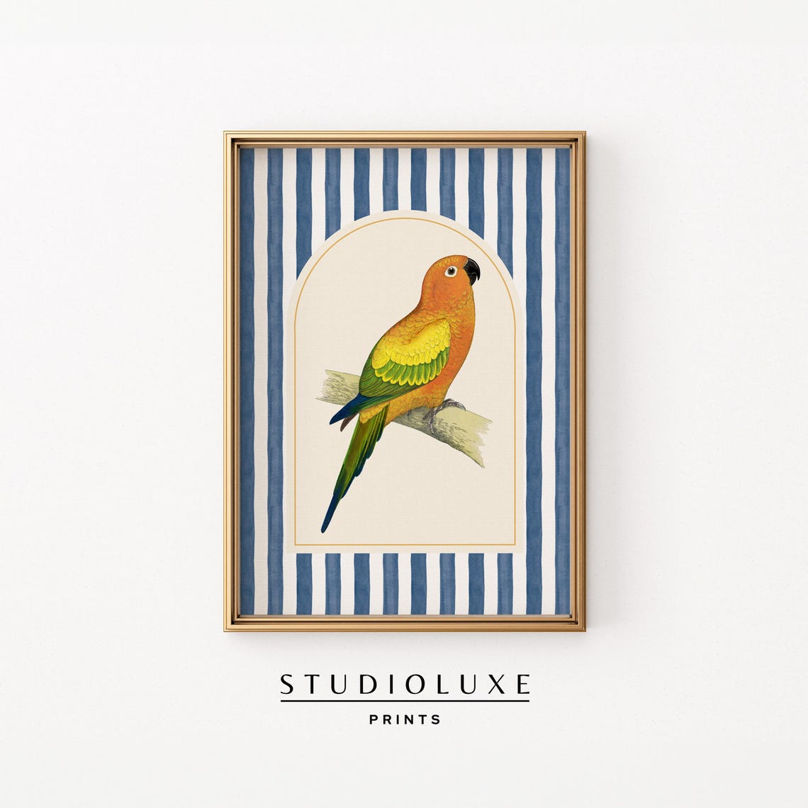 Golden Conure Parrot Poster Blue Striped Tropical Bird Illustration