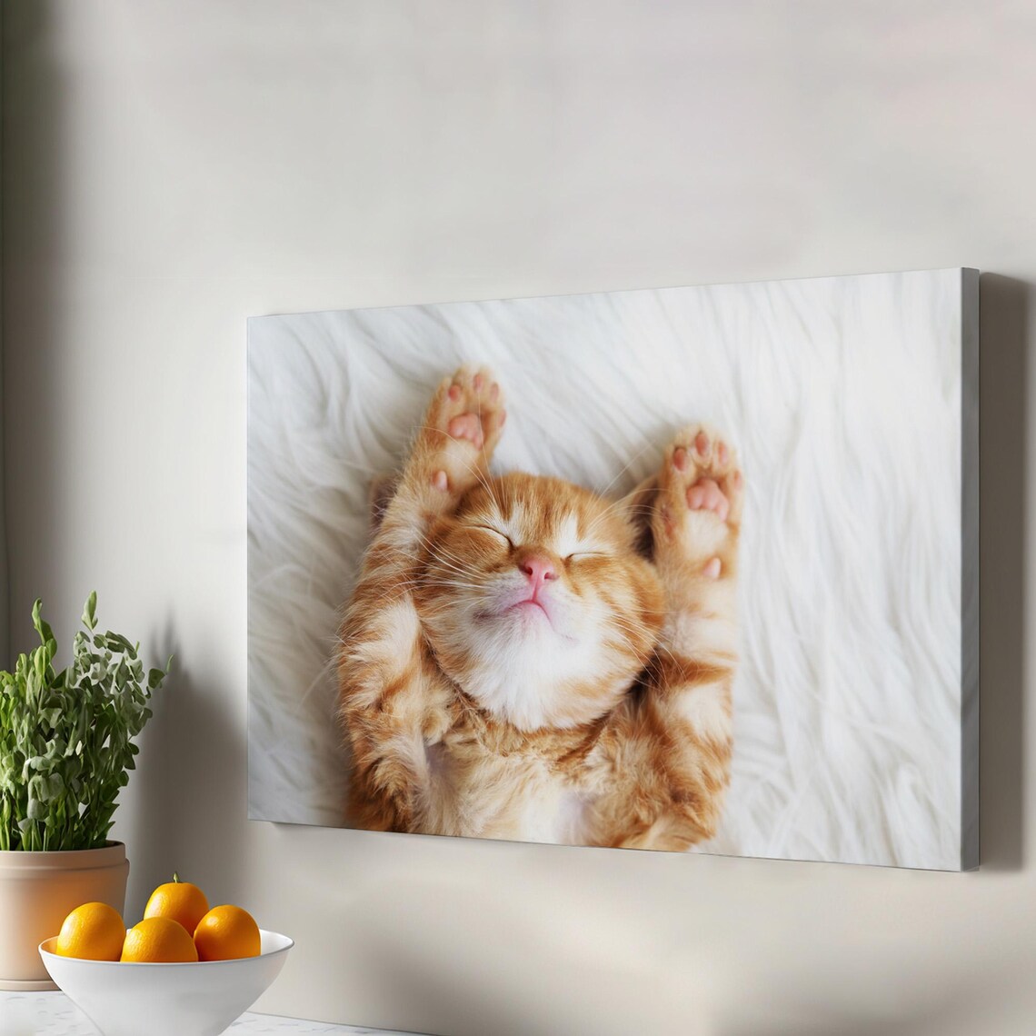 Ginger Kitten Lying On Back White Fur Cute Animal Photo Poster