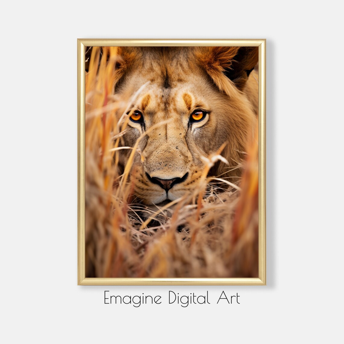 Male Lion Close Up in Tall Grass Wildlife Photography Wall Poster