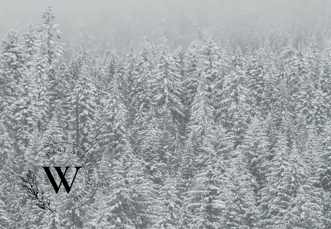 Snowy Pine Forest Fading Into Fog Minimalist Winter Photo Wall Poster - Image 3