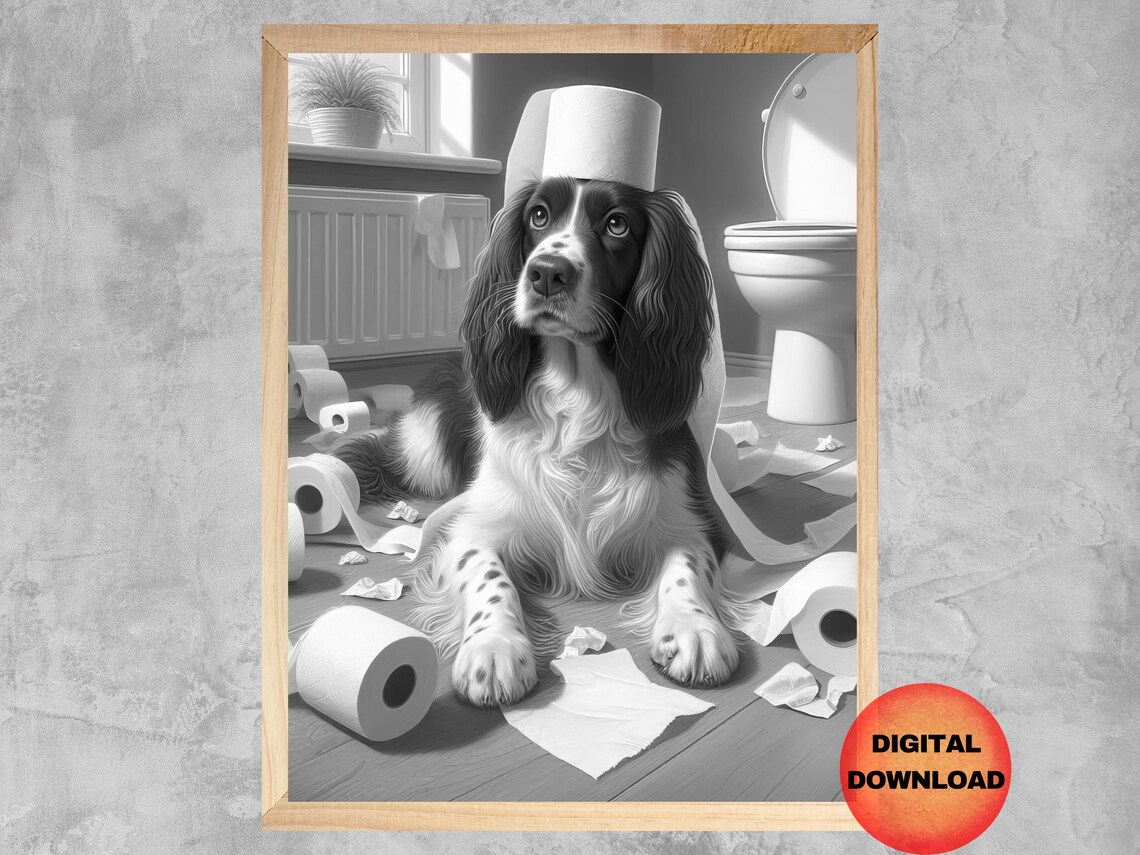 Springer Spaniel Black And White Bathroom Art Print