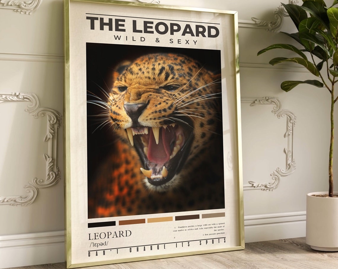 Leopard Wall Art Leopard Definition Print Preppy Above Bed Bedroom Wall Decor Aesthetic Trendy Leopard Photography Poster