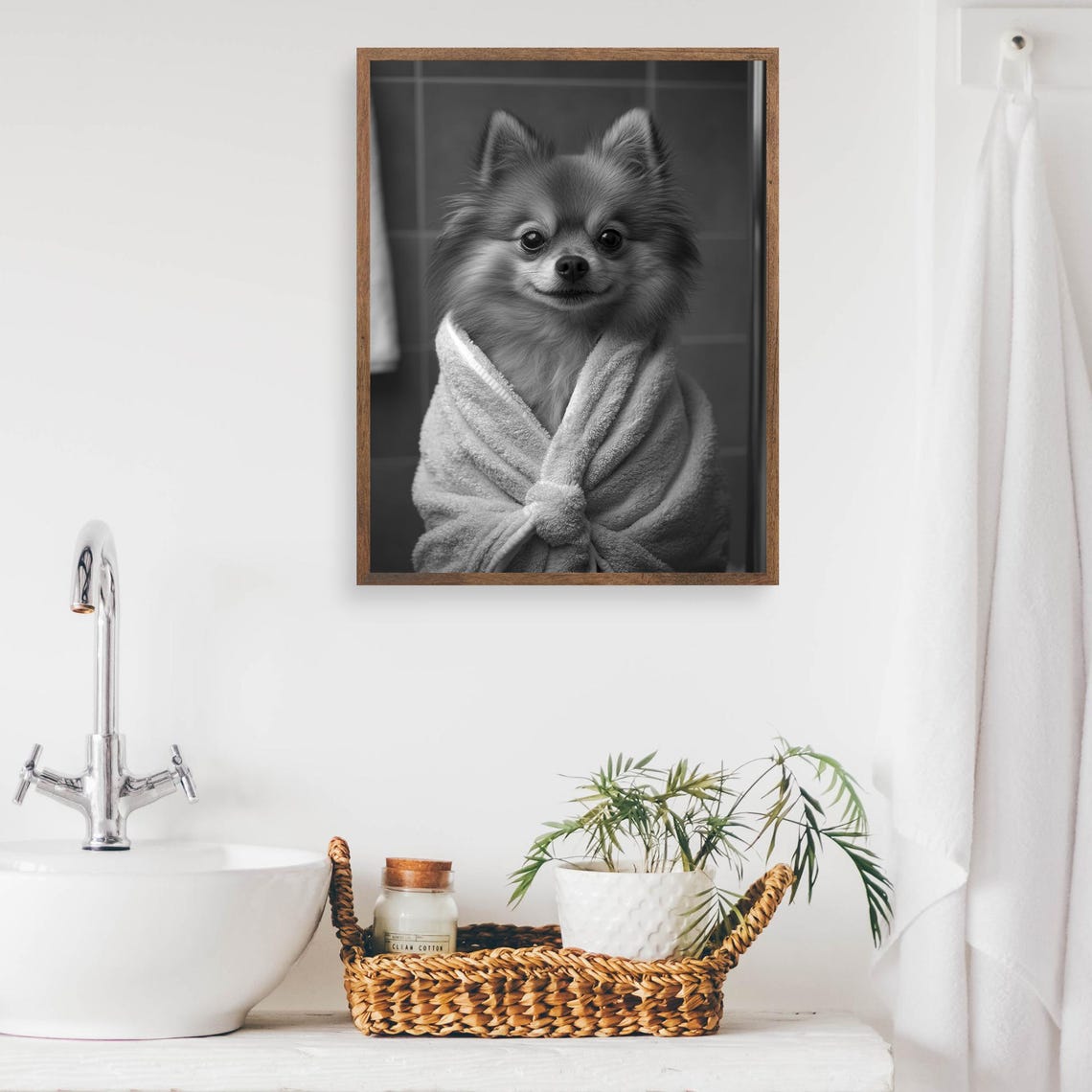 Pomeranian Wrapped In A Bathrobe Monochrome Vintage Bathroom Poster - Image 2