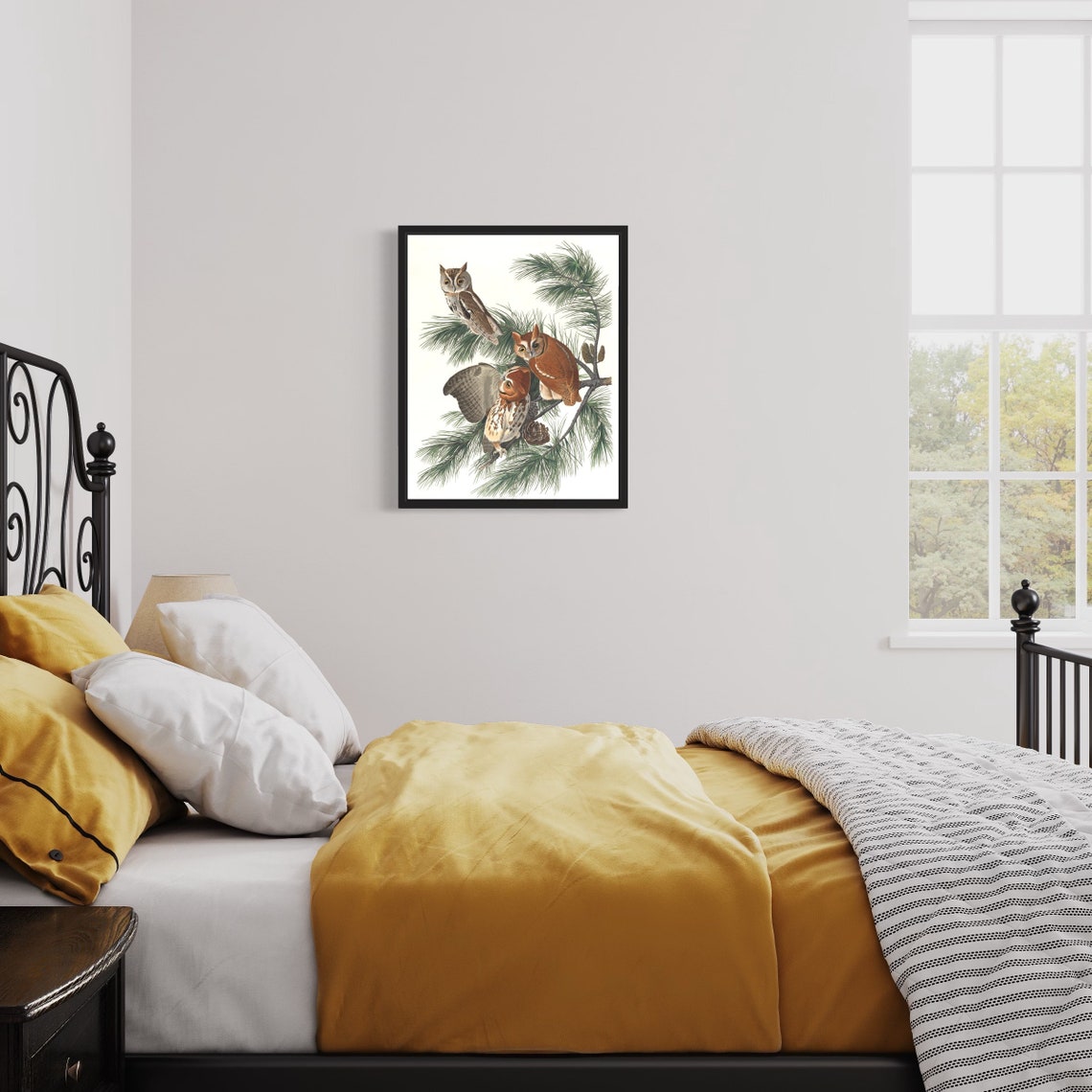Three Screech Owls on Pine Branch Vintage Wildlife Art Print - Image 2