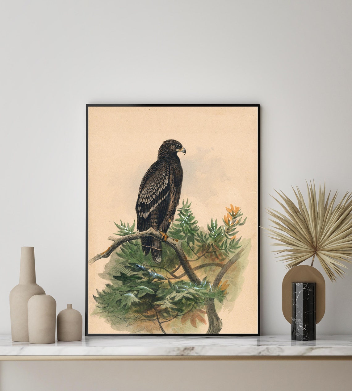 Spotted Eagle Perched on a Branch Vintage Ornithology Bird Poster - Image 3
