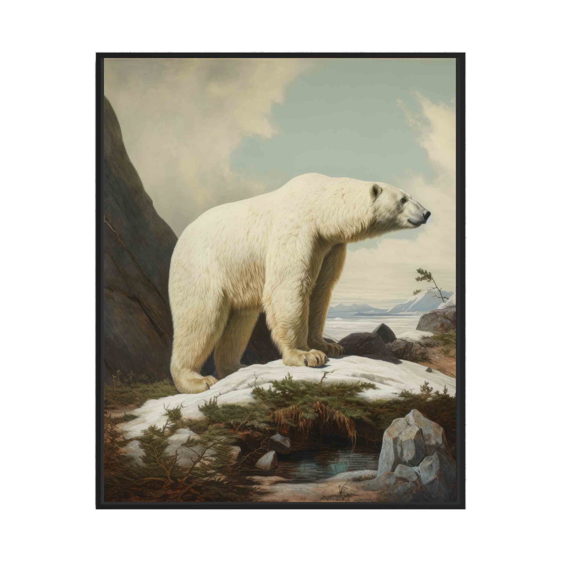 Vintage Polar Bear On Arctic Rocks Wildlife Natural History Poster