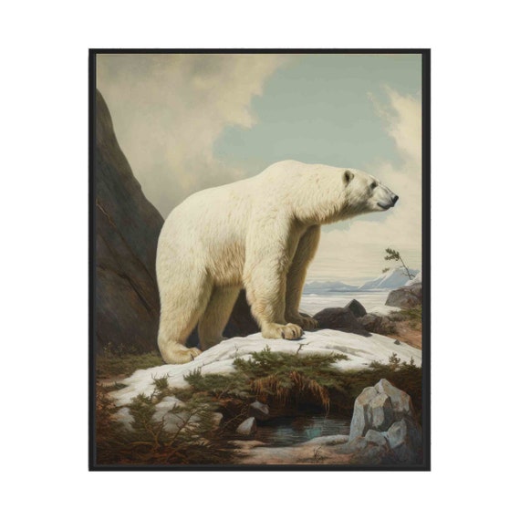 Vintage Polar Bear On Arctic Rocks Wildlife Natural History Poster