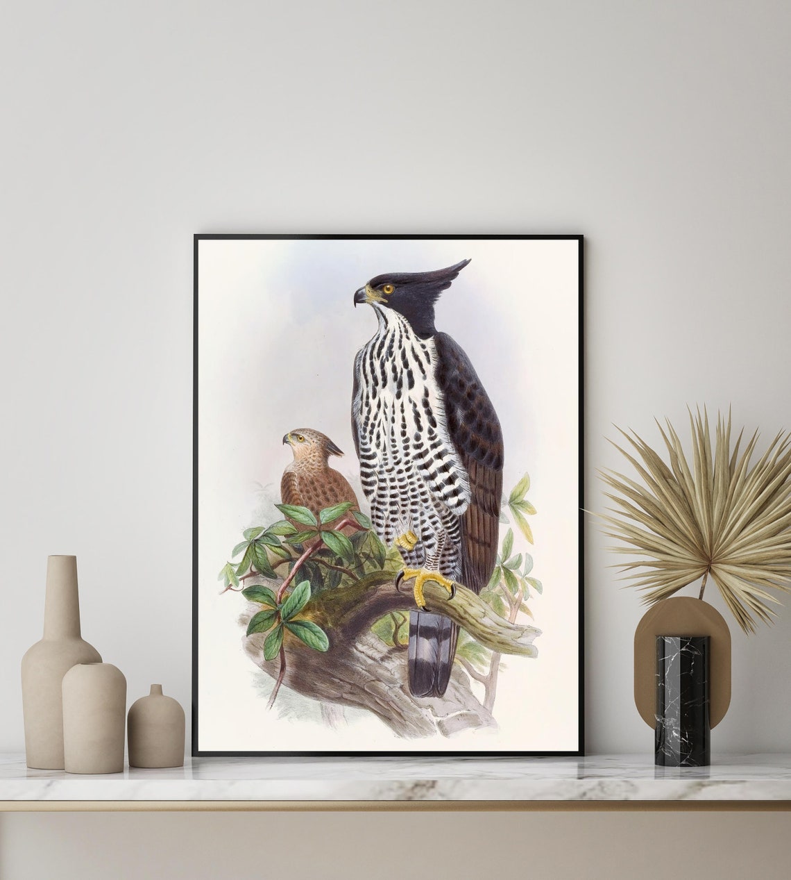 Black-and-White Crested Eagle Pair by John Gould Bird Poster - Image 3