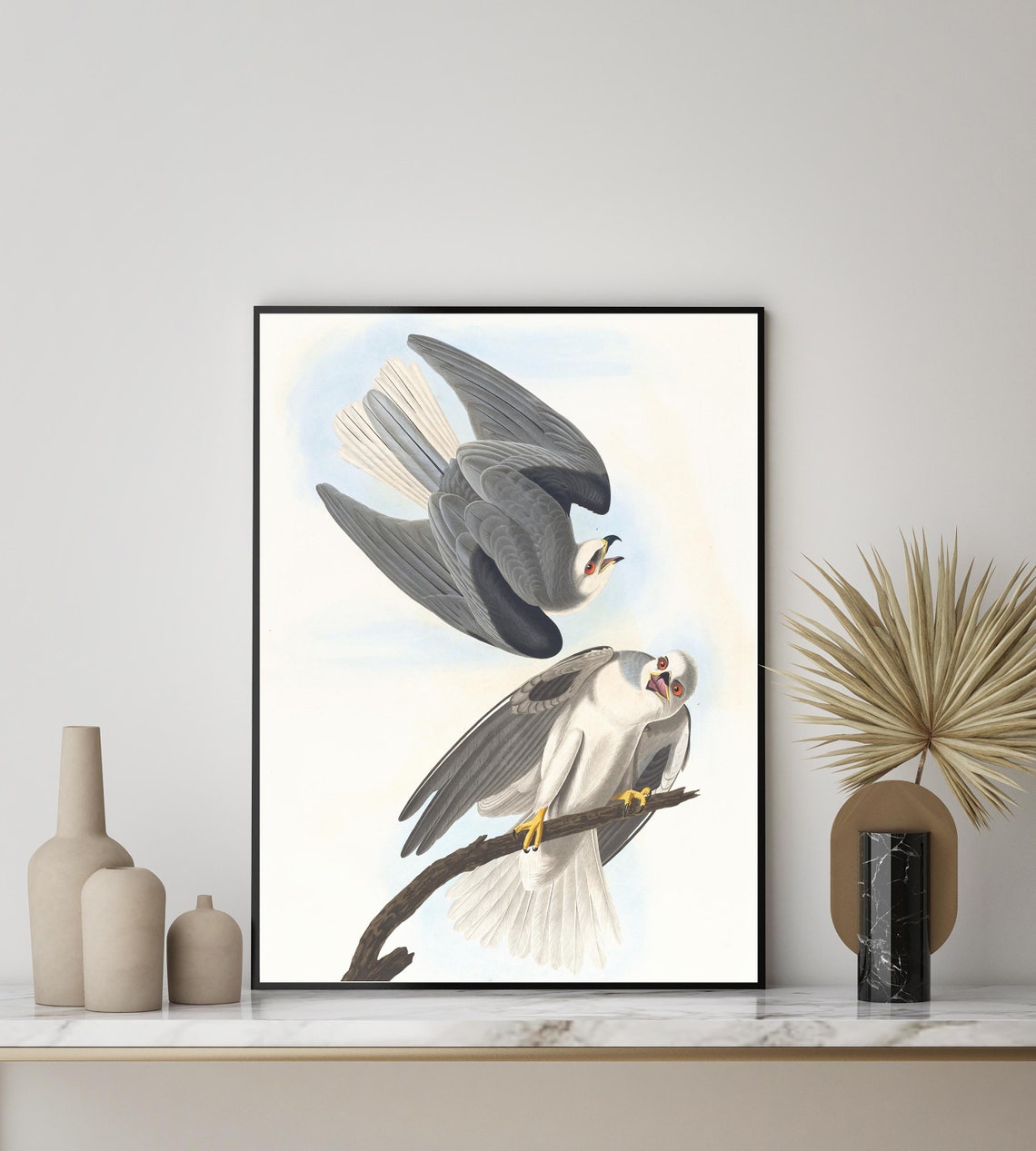 Black-Winged Hawk Pair in a Classic John James Audubon Style Poster - Image 3