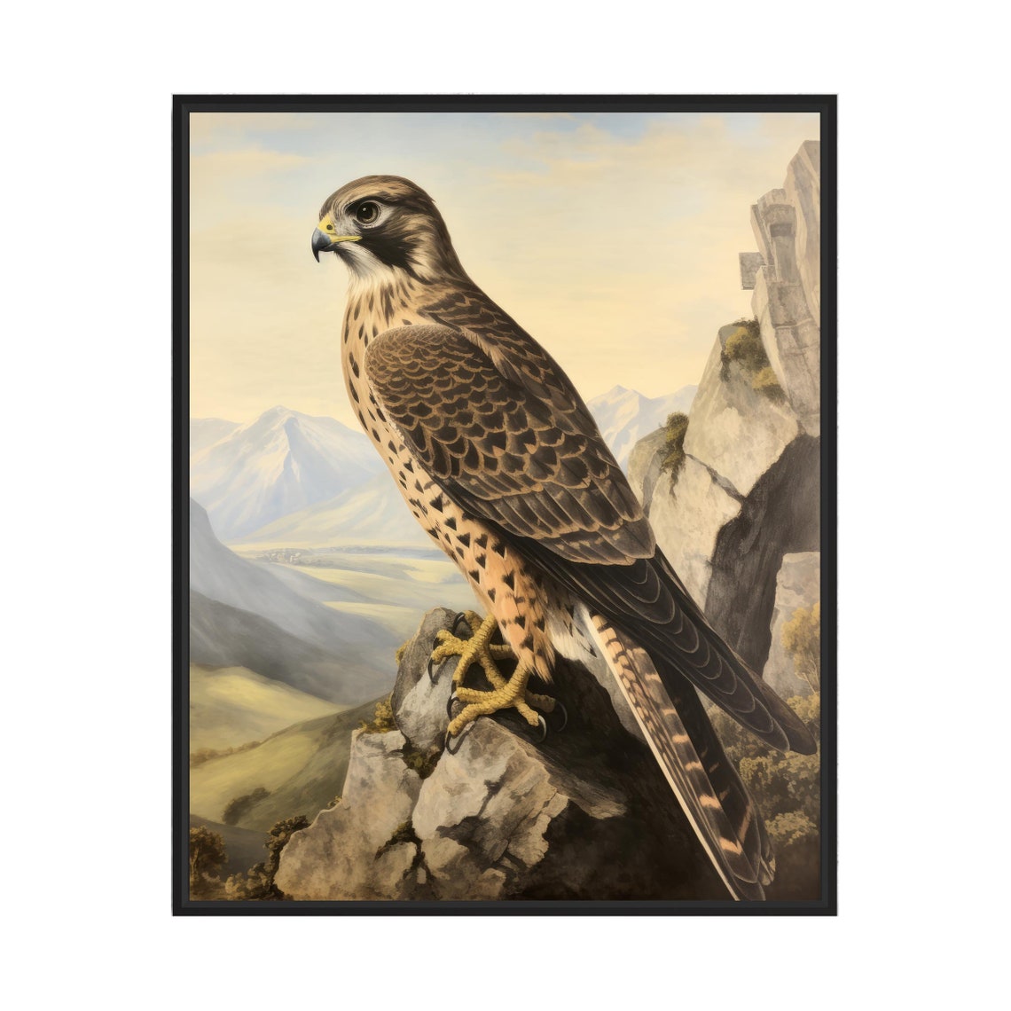 Merlin Falcon on a Rocky Cliff Above a Mountain Valley Bird Poster