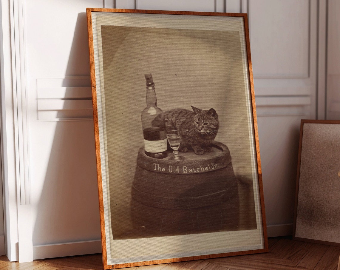 Funny Cat Bar Poster, Old Book Cover Poster Print
