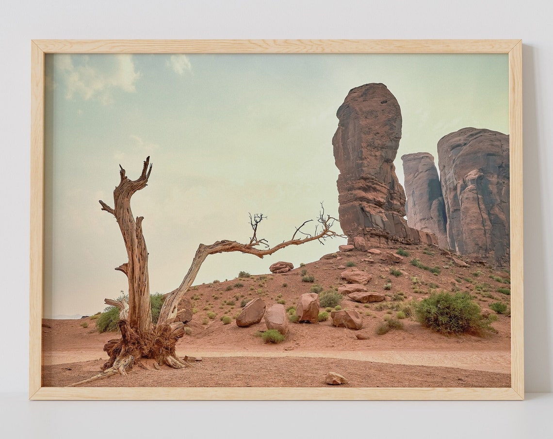 Utah Desert Buttes Gnarled Dead Tree Landscape Photography Print