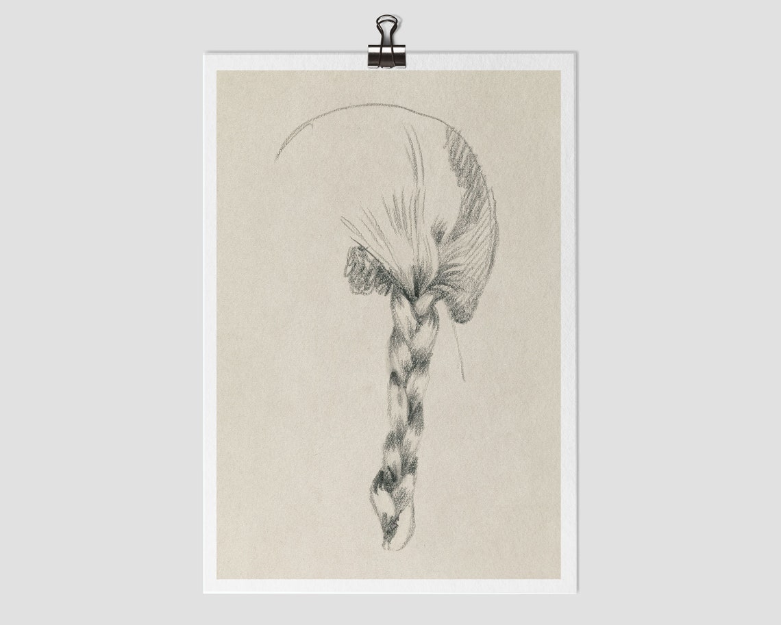 Minimalist Line Drawing Art Print