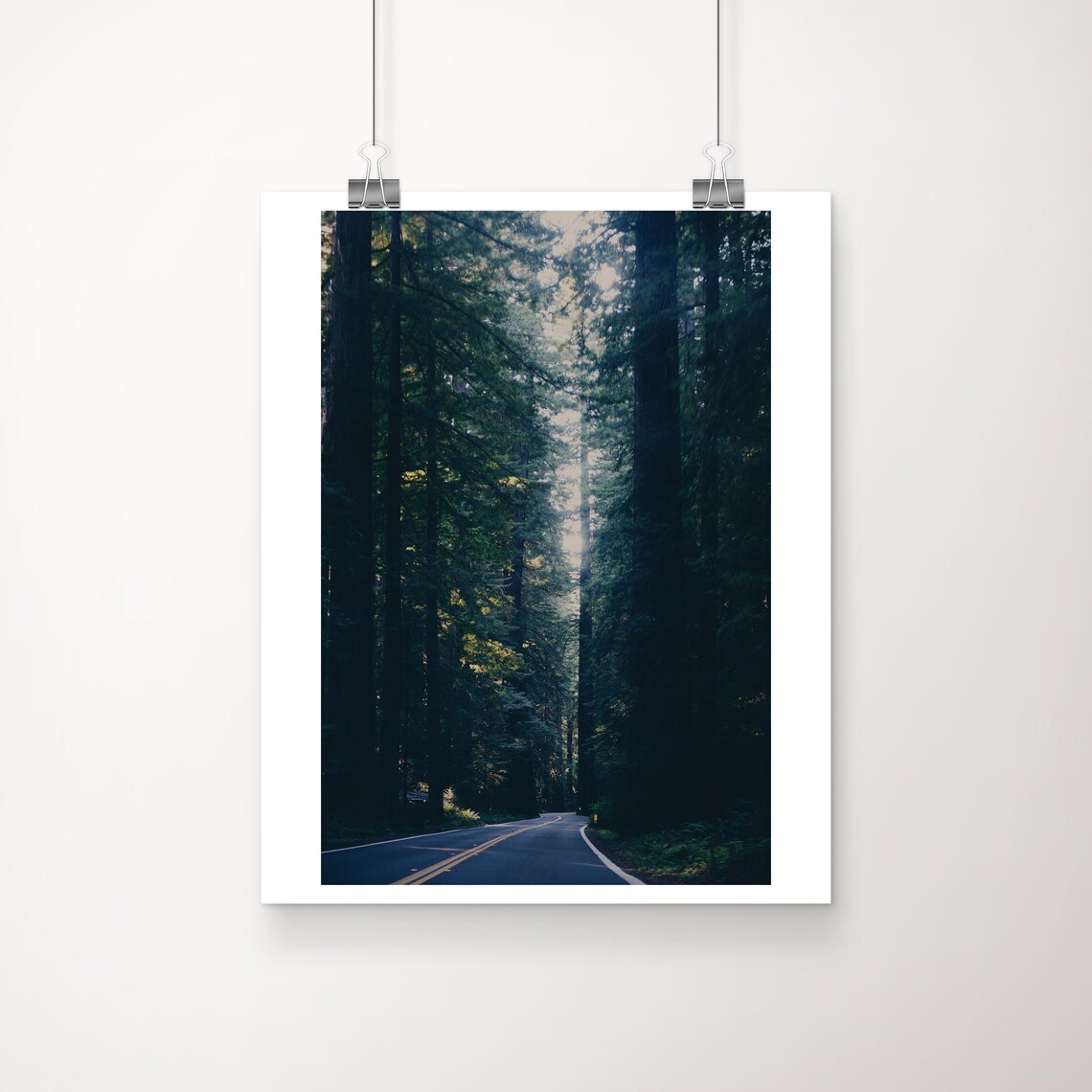 Giant Redwood Avenue of the Giants California Forest Road Photo Poster