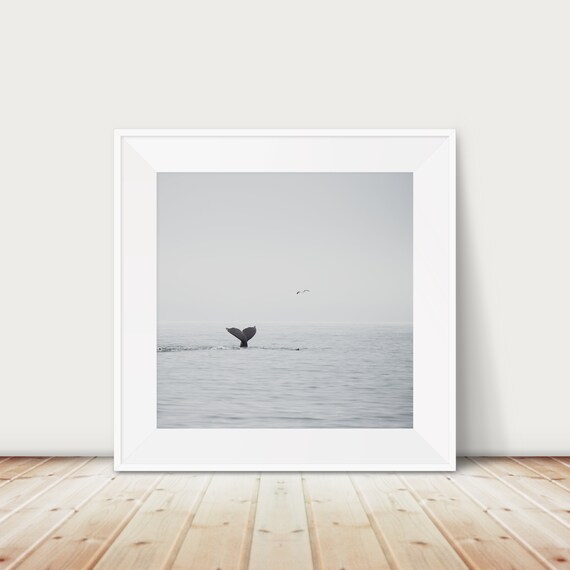 Humpback Whale Tail Print Pacific Ocean Photography Coast