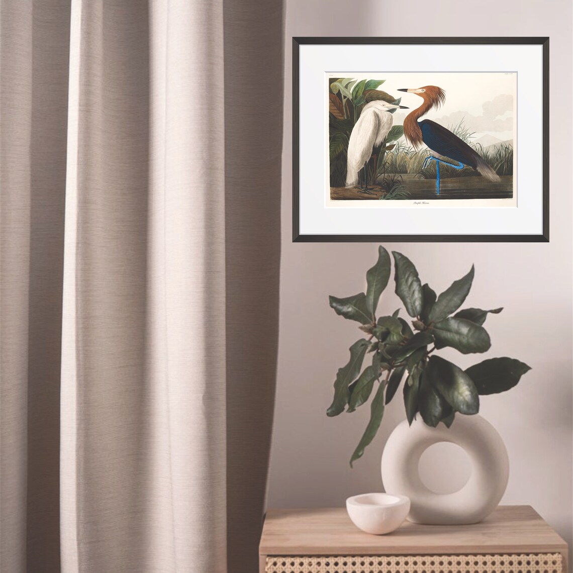 Purple Heron Audubon Vintage Bird Print, Coastal - Image 3