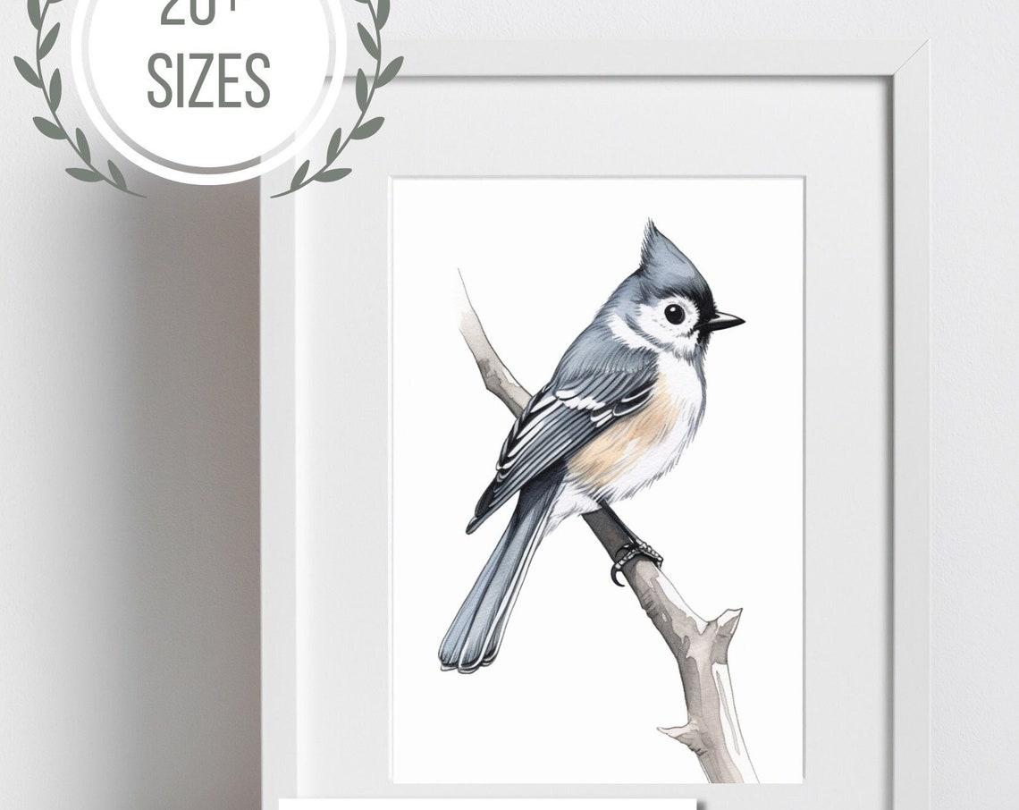 Tufted Titmouse Drawing Perched On Branch Delicate Bird Sketch Print - Image 4