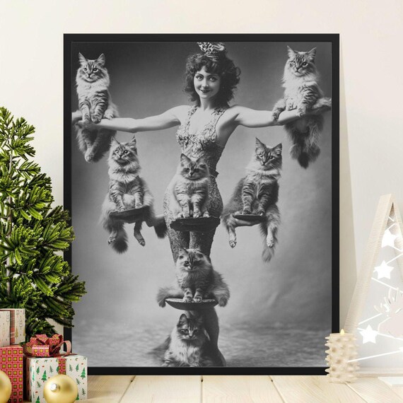 Circus Performer Balancing Seven Cats Vintage Black And White Wall Art