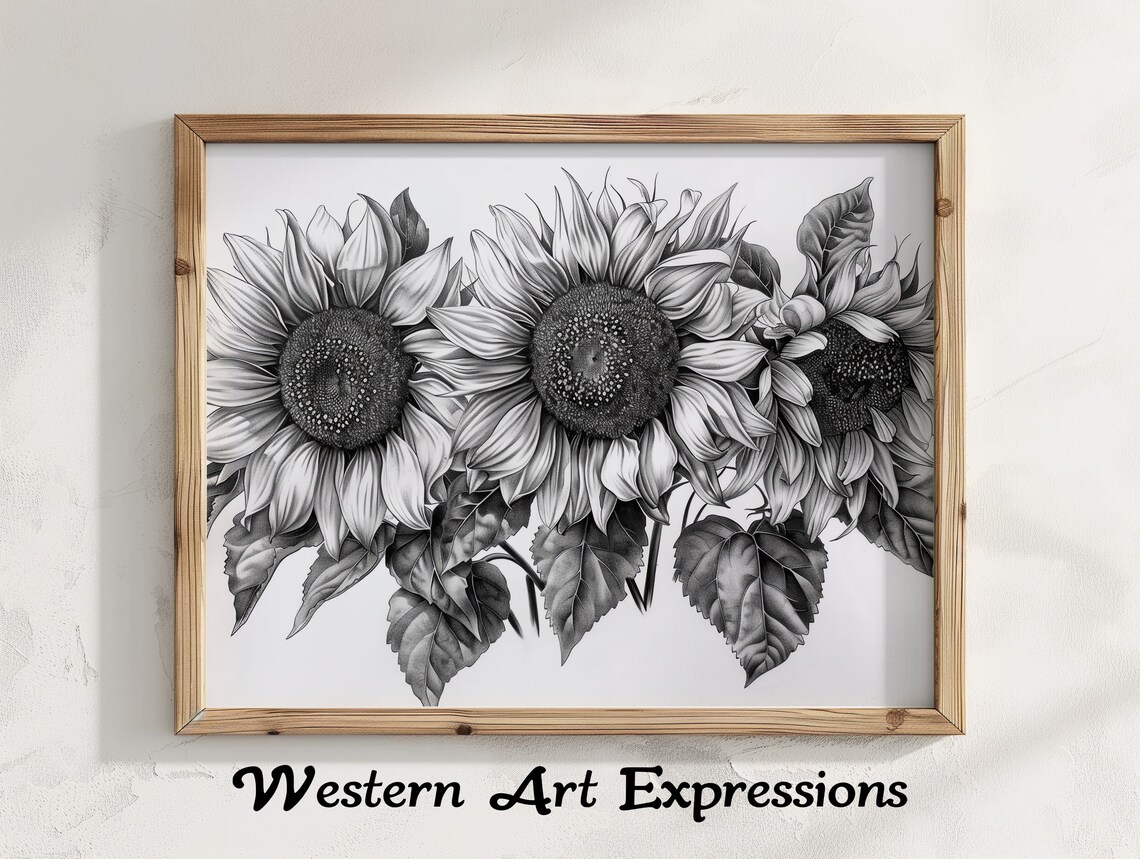 Trio Of Sunflowers Black And White Ink Drawing Botanical Print