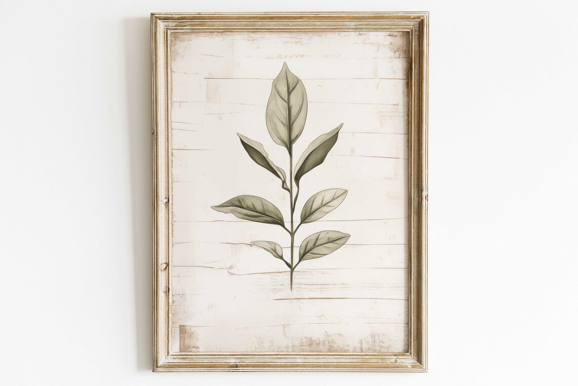 Sage Green Fern Rustic Distressed Botanical Nature Wall Poster